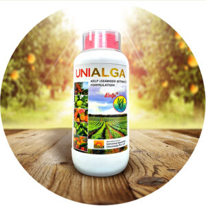 UNIALGA