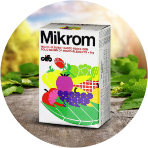 Mikrom