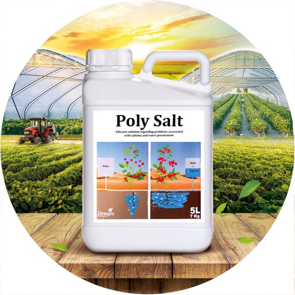 Polysalt