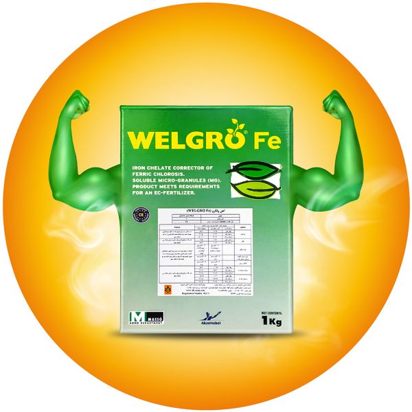 Welgro Fe