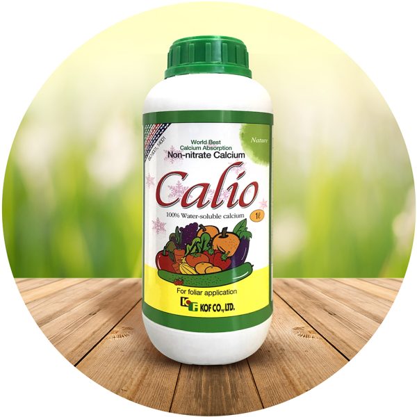 Calio