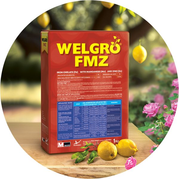 Welgro FMZ